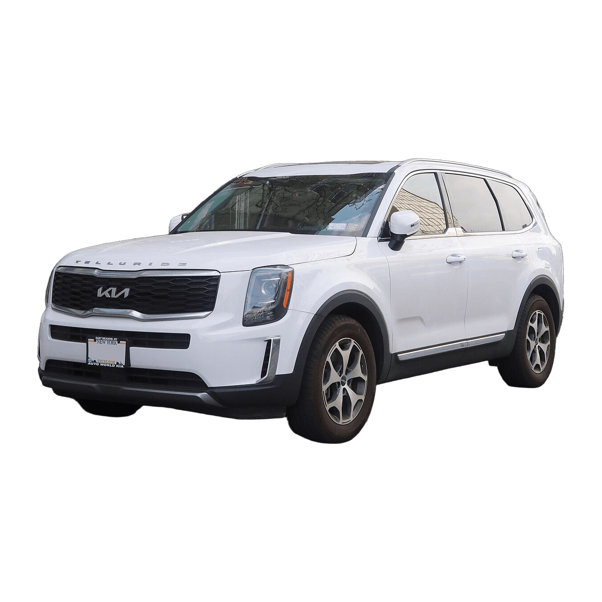 Kia Telluride car service