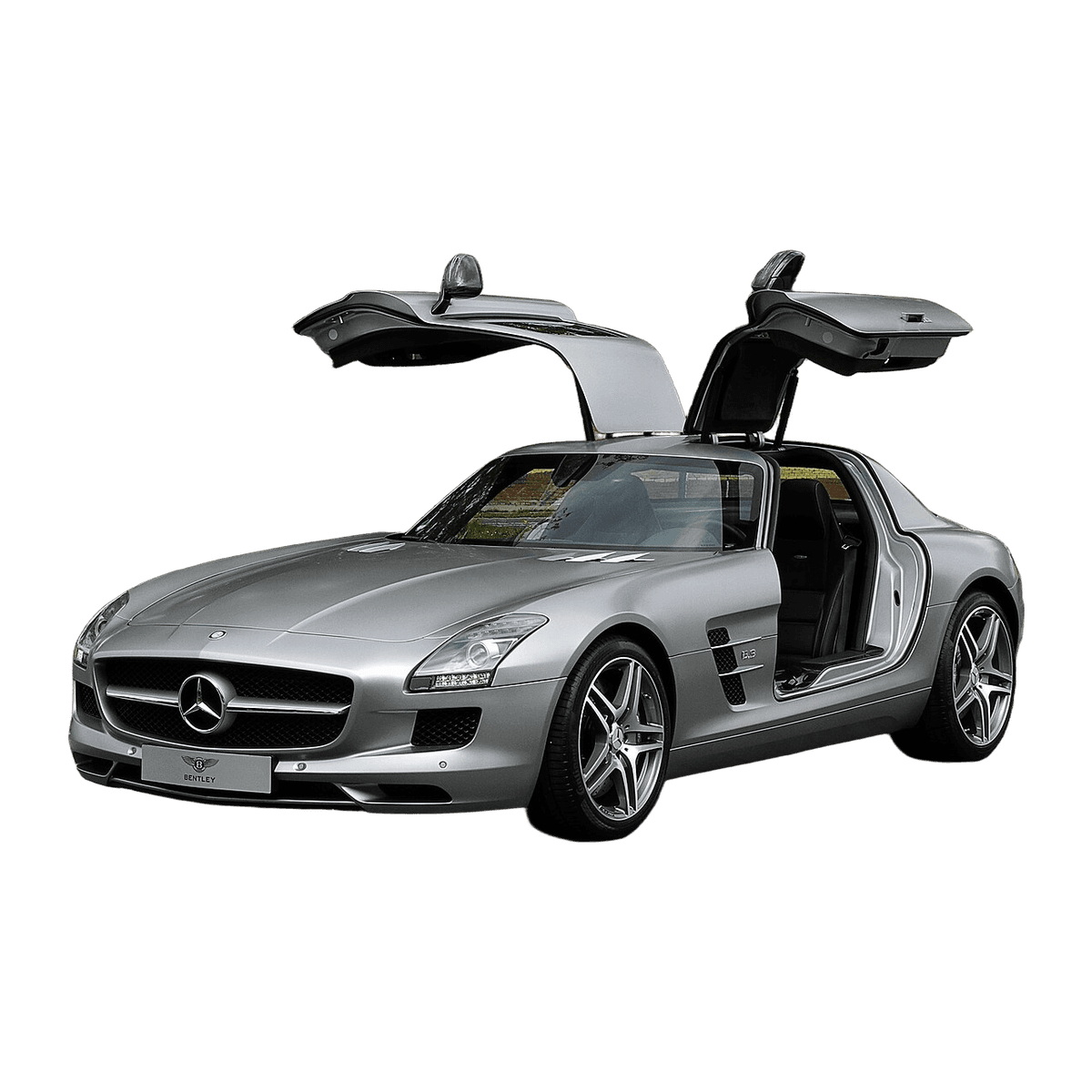 Mercedes-Benz SLS AMG car service