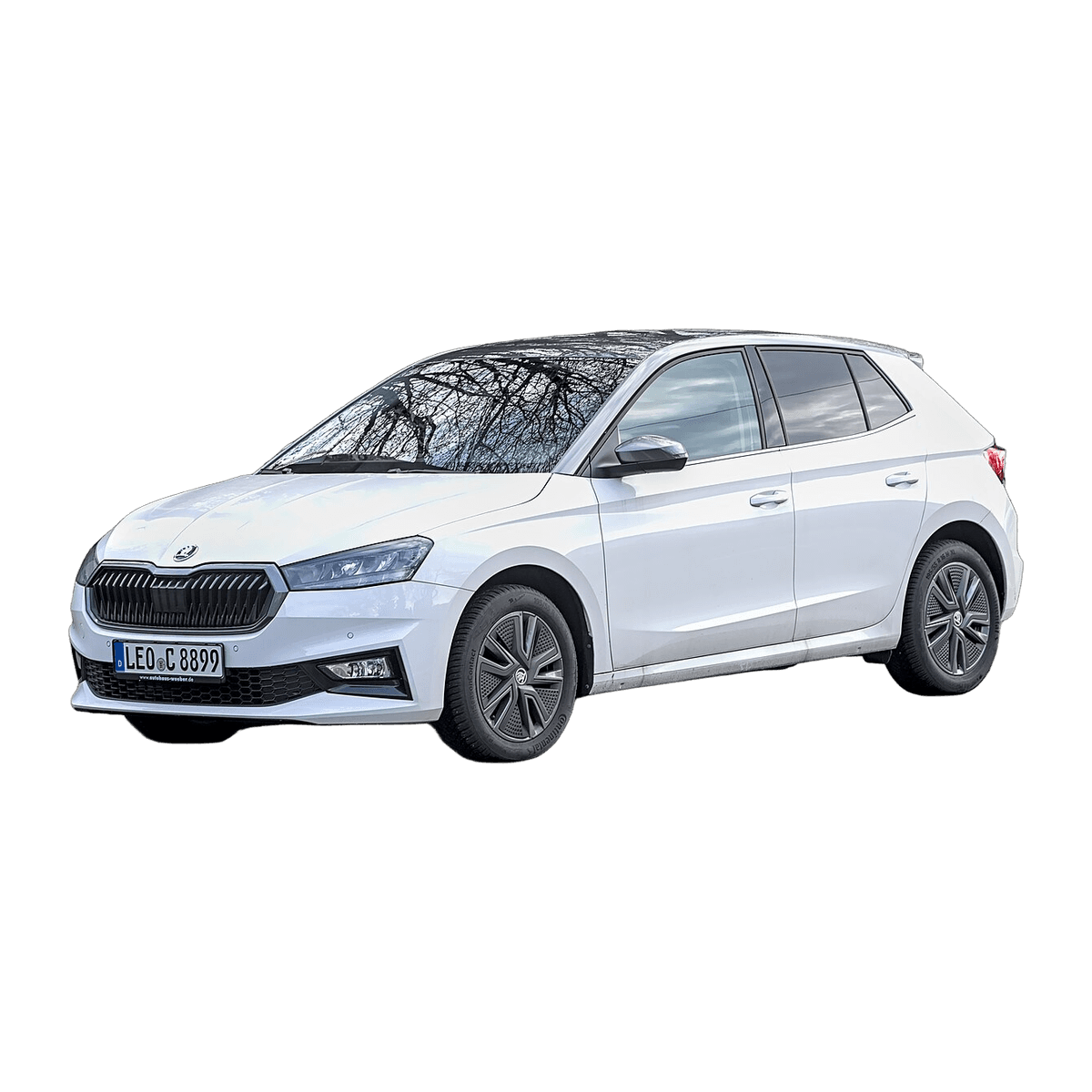 Skoda Fabia car service