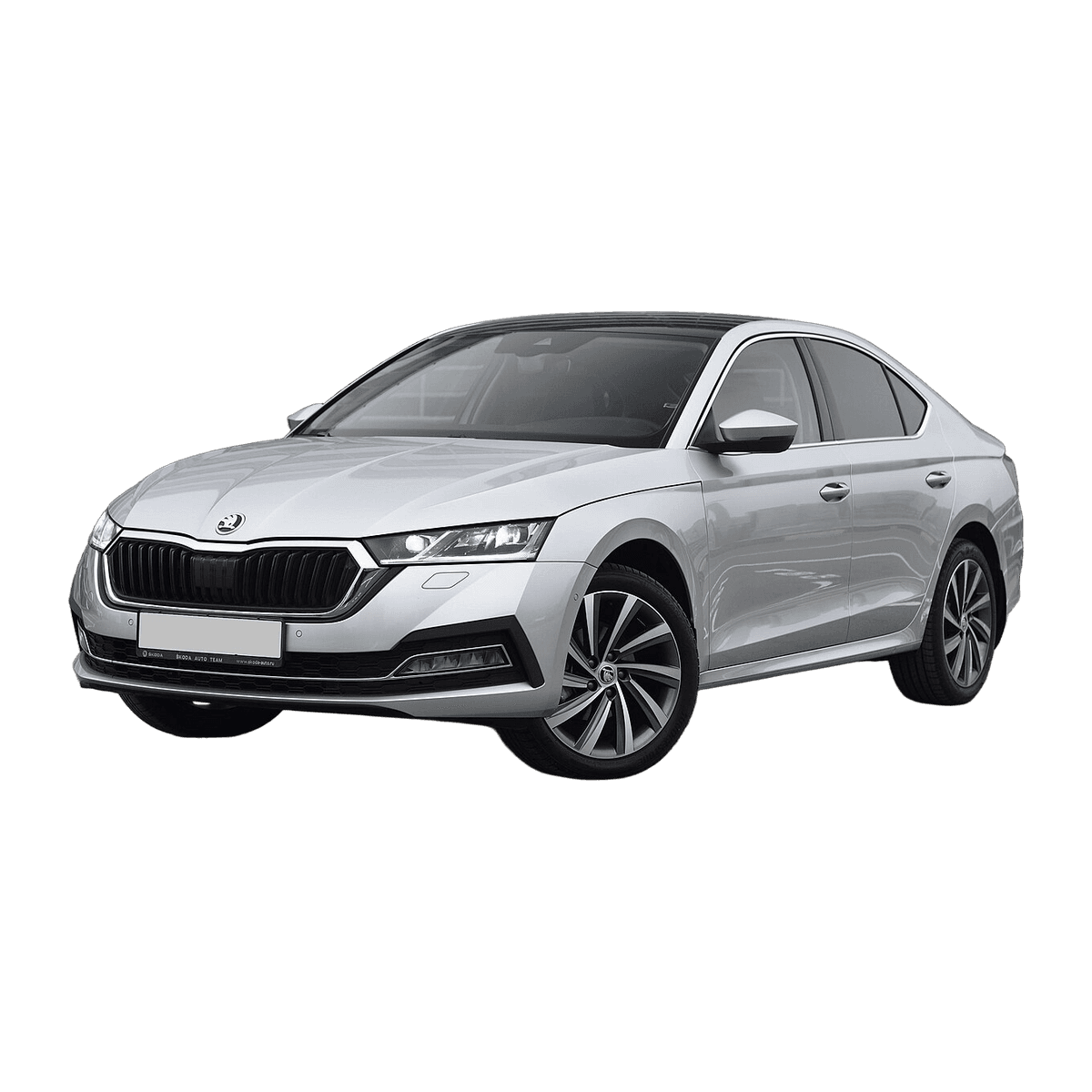Skoda Octavia car service