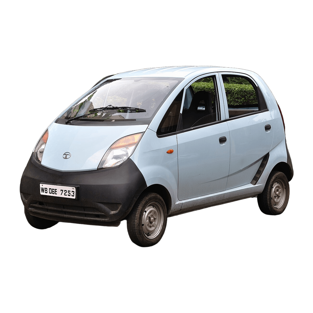 2011 Tata Nano car service