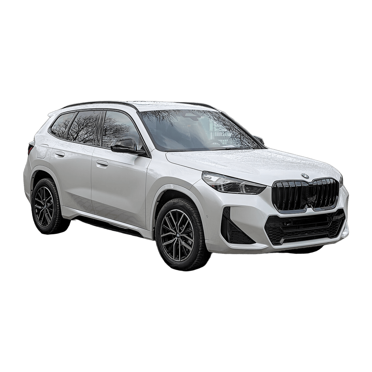 BMW X1 car service