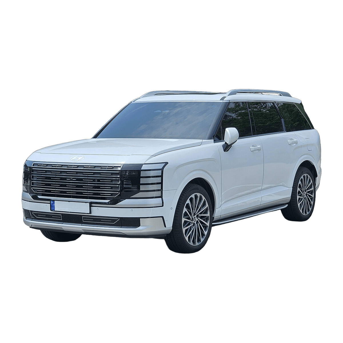 Hyundai Palisade car service