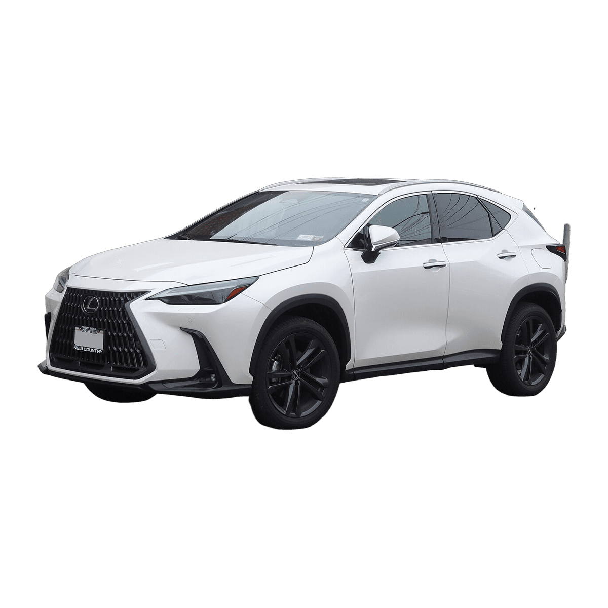 2016 Lexus NX (AZ10) car service