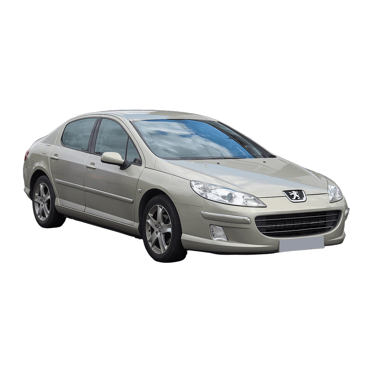 2004 Peugeot 407 car service